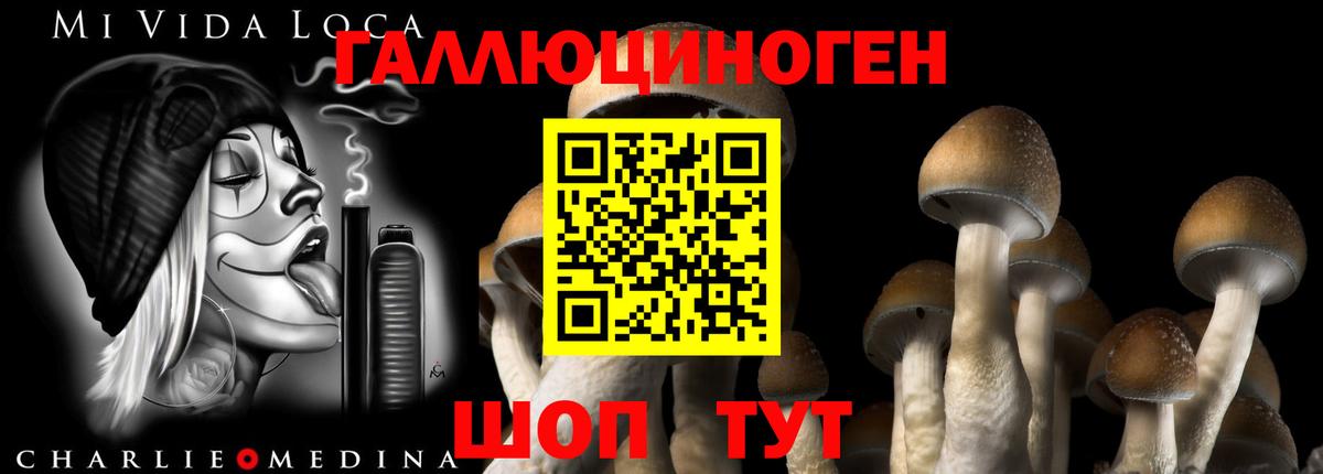 Галлюциногенные грибы MAGIC MUSHROOMS  Вход с VPN  Ногинск 